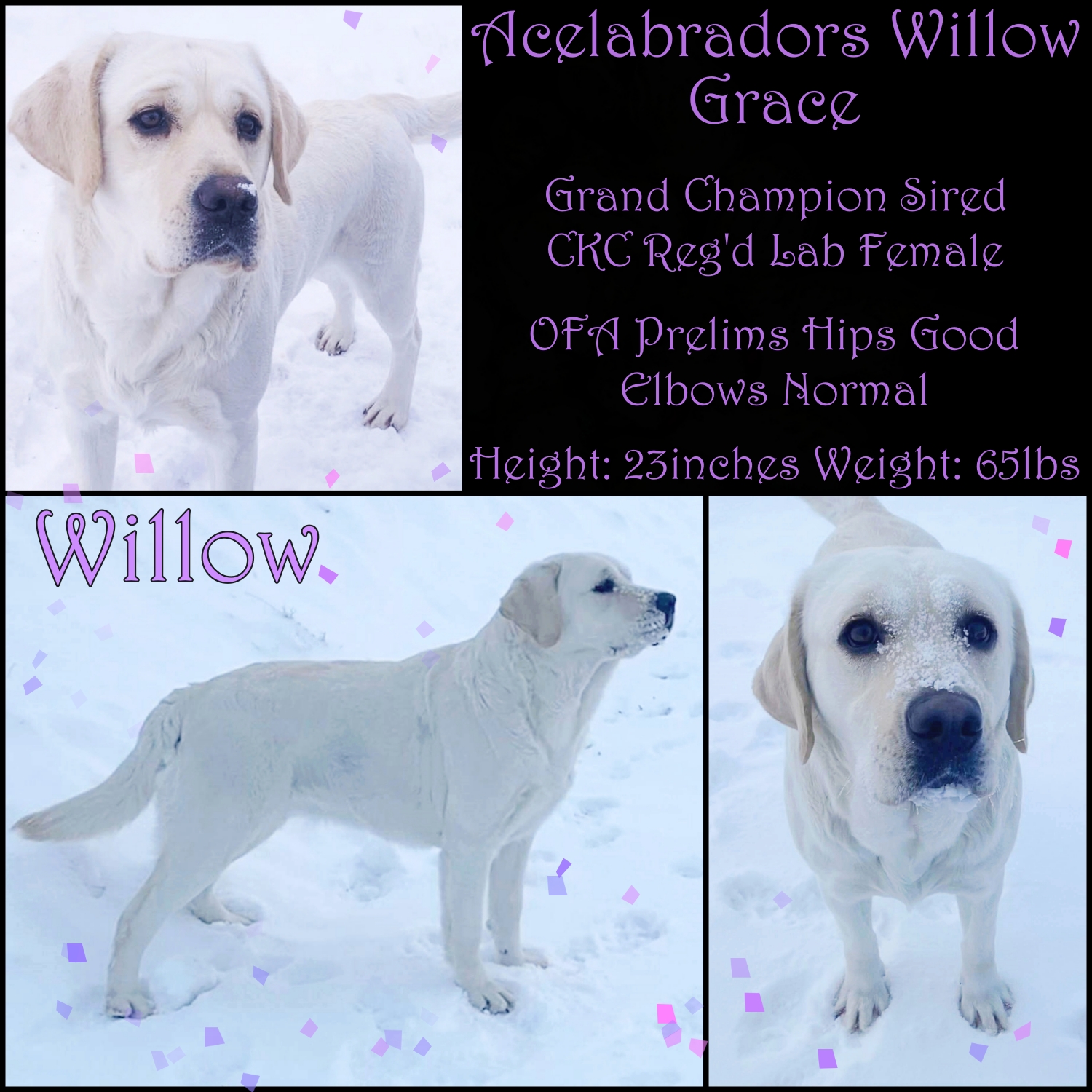 willow collage